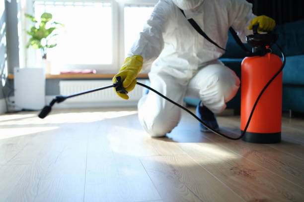 Reliable Odor Removal contractor in Centerville, MN by Trauma Clean Pros